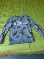 Grijze jongens trui maat 158- 164 - Santa Monica - WE, Ophalen, Gebruikt, WE, Trui of Vest