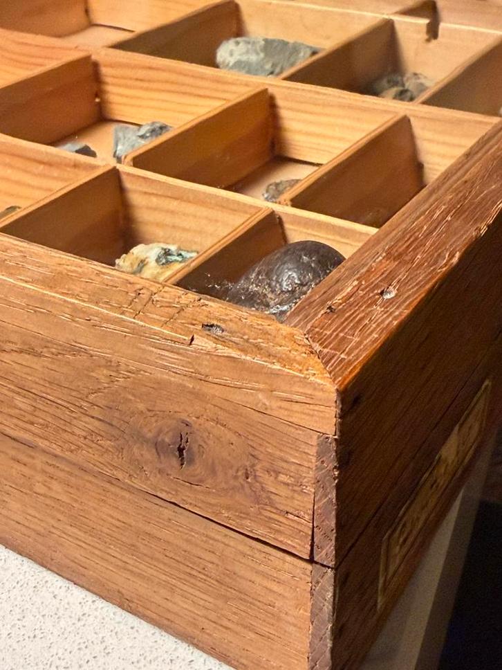 Oude museum showkist met fossielen en mineralen, Huis en Inrichting, Woonaccessoires | Kisten, Gebruikt, Minder dan 50 cm, Minder dan 50 cm