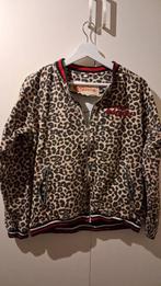 Efteling Fata Morgana jasje, Verzamelen, Efteling, Ophalen