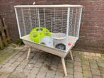 Zoolux Neo knaagdieren kooi, Dieren en Toebehoren, Knaagdieren en Konijnen | Hokken en Kooien, Kooi, Cavia, Minder dan 60 cm, Ophalen of Verzenden