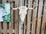 Koeienschedel Wanddecoratie, Ophalen of Verzenden, Zo goed als nieuw
