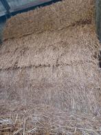 Stro/ tarwe stro/ grote balen stro, Dieren en Toebehoren, Dierenvoeding, Ophalen, Vee
