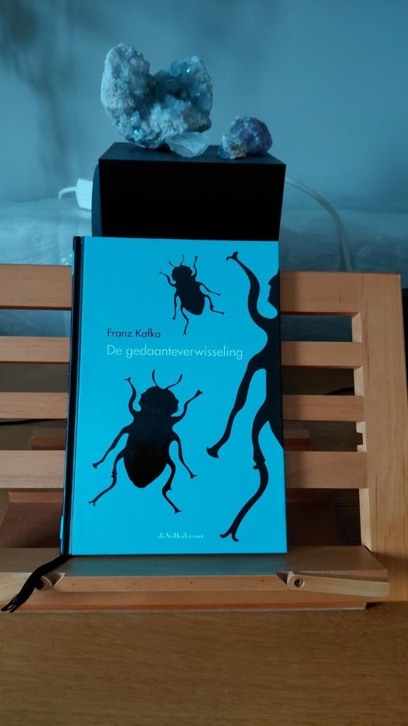 Kafka - De gedaanteverwisseling, Ophalen of Verzenden, Zo goed als nieuw, Franz Kafka, Nederland