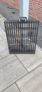 Puppyren of huiskamerkennel, Dieren en Toebehoren, Ophalen