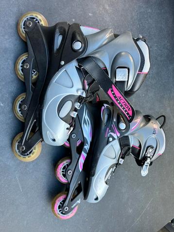 Skeelers beschikbaar voor biedingen