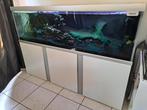 Aquarium Akvastabil Fusion t.e.a.b., Dieren en Toebehoren, Ophalen, Gebruikt, Gevuld zoetwateraquarium