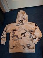 Anorak mt 134  ZARA, Kinderen en Baby's, Kinderkleding | Maat 134, Ophalen of Verzenden, Zo goed als nieuw, Meisje, Trui of Vest