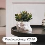 Plantenpotje aap, Ophalen of Verzenden, Nieuw, Minder dan 50 cm