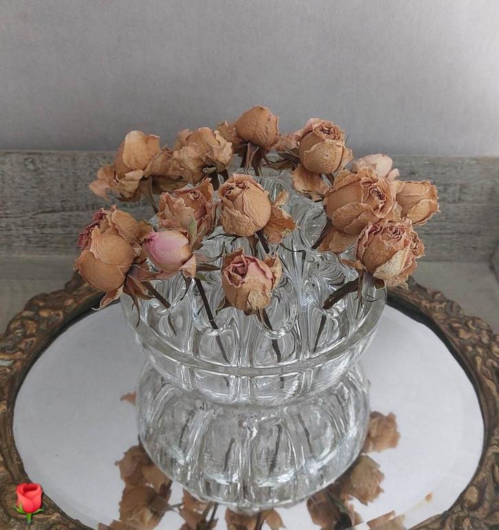 Oud Kristal glazen bloemen/rozensteker V.M.C. Reims '50, Antiek en Kunst, Antiek | Glas en Kristal, Ophalen of Verzenden