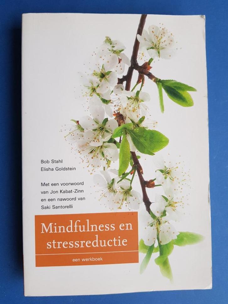 Mindfulness en stressreductie - Bob Stahl, Boeken, Esoterie en Spiritualiteit, Zo goed als nieuw, Achtergrond en Informatie, Overige onderwerpen