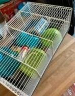 Hamsterkooi met inboedel!, Dieren en Toebehoren, Knaagdieren en Konijnen | Hokken en Kooien, Minder dan 60 cm, Kooi, Minder dan 75 cm