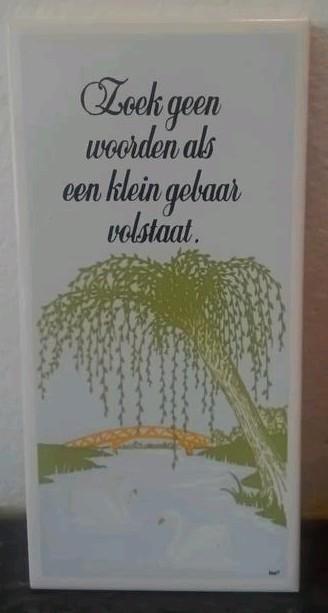 Mooie tegeltje met tekst en mooie afbeelding 10 x 20 cm beschikbaar voor biedingen