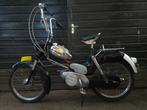 Puch MV50 Kikkerbek met Kenteken, Ophalen, Gebruikt, Overige modellen