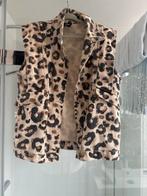 Shoeby Kids Gilet Animal Print 134/140, Ophalen of Verzenden, Zo goed als nieuw, Meisje, Jas