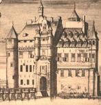 944004	Wijk	bij Duurstede	kasteel	Mooie oude kaart Onbeschre, Ongelopen, Ophalen of Verzenden