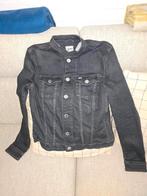 Tommy hilfinger spijkerjas dames, Ophalen of Verzenden, Zo goed als nieuw, Blauw