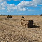 Stro pakjes lang tarwestro, Dieren en Toebehoren, Dierenvoeding, Ophalen of Verzenden, Vee