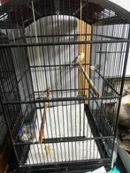 Indonesië schamas kooien, Dieren en Toebehoren, Ophalen of Verzenden, Zo goed als nieuw, Hout, Vogelkooi