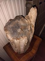 Prachtig stuk versteend hout, Ophalen, Fossiel