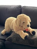 Schattige hond, Verzenden, Hond