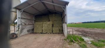 Hooi 1e kwaliteit  beschikbaar voor biedingen
