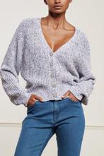 FABIENNE CHAPOT confetti cardigan maat M ZGAN, Ophalen of Verzenden, Zo goed als nieuw, Maat 38/40 (M), Blauw