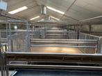 Kalverstal inrichting, Meerdere dieren, 11 jaar of ouder