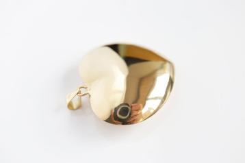 Big Heart l 14 karaat gouden hanger beschikbaar voor biedingen