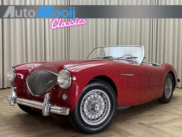 Austin Healey 100/4 BN2 Roadster / 1956 / 4-Speed Overdrive, Auto's, Oldtimers, Bedrijf, Te koop, Lederen bekleding, Lichtmetalen velgen