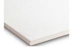 Gyproc Plafondplaat 200x60cm, Doe-het-zelf en Verbouw, Platen en Panelen, Ophalen, Zo goed als nieuw, Overige materialen, Minder dan 20 mm
