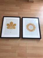 2 Ribba fotolijsten ikea, Ophalen, Gebruikt