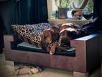 Luxe design hondenbank van (kunst) leer XXL, Dieren en Toebehoren, Hondenmanden, Ophalen, Gebruikt, Leer