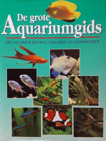 De grote aquarium gids Könemann beschikbaar voor biedingen
