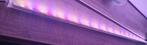 Led, verlichting, aquarium, vissen,ledverlichting, Vis