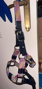 Halster mini pony/middel shet, Ophalen of Verzenden, Gebruikt, Overige soorten
