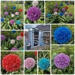 Allium bollen tuinstekers, Ophalen of Verzenden, Nieuw