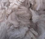 Te koop ruwe alpacawol/ alpaca wol, Hobby en Vrije tijd, Spinnewielen en Spinnen, Ophalen of Verzenden, Nieuw, Spinwol