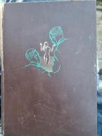 Adriaan en Olivier - Leonhard Huizinga - 1954, Ophalen of Verzenden, Gelezen, Leonhard Huizinga