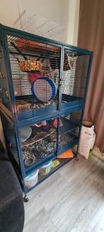 Savic Royal Suite 95 Double, Dieren en Toebehoren, Knaagdieren en Konijnen | Hokken en Kooien, Ophalen, Kooi, Gebruikt, 90 cm of meer