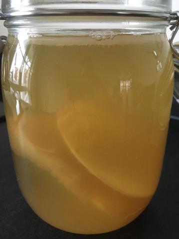 Biologische Jun SCOBY- gratis startvloeistof