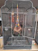 Zeer stevige kooi, Meerdere dieren, Parkiet