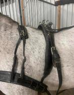 tuig set voor een grote pony, Ophalen of Verzenden