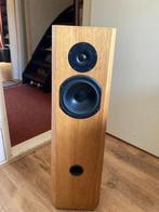 Speaker houten ombouw 2 stuks, Gebruikt, Minder dan 60 watt, Front, Rear of Stereo speakers, Ophalen