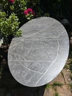 Lange ovale eettafel, Huis en Inrichting, Tafels | Eettafels, Ophalen, Gebruikt, 100 tot 150 cm, 200 cm of meer