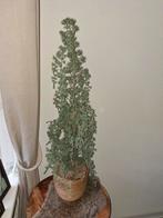 Kunstplant asparagus /ceder eventueel met pot, Huis en Inrichting, Woonaccessoires | Kunstplanten en Kunstbloemen, Ophalen of Verzenden