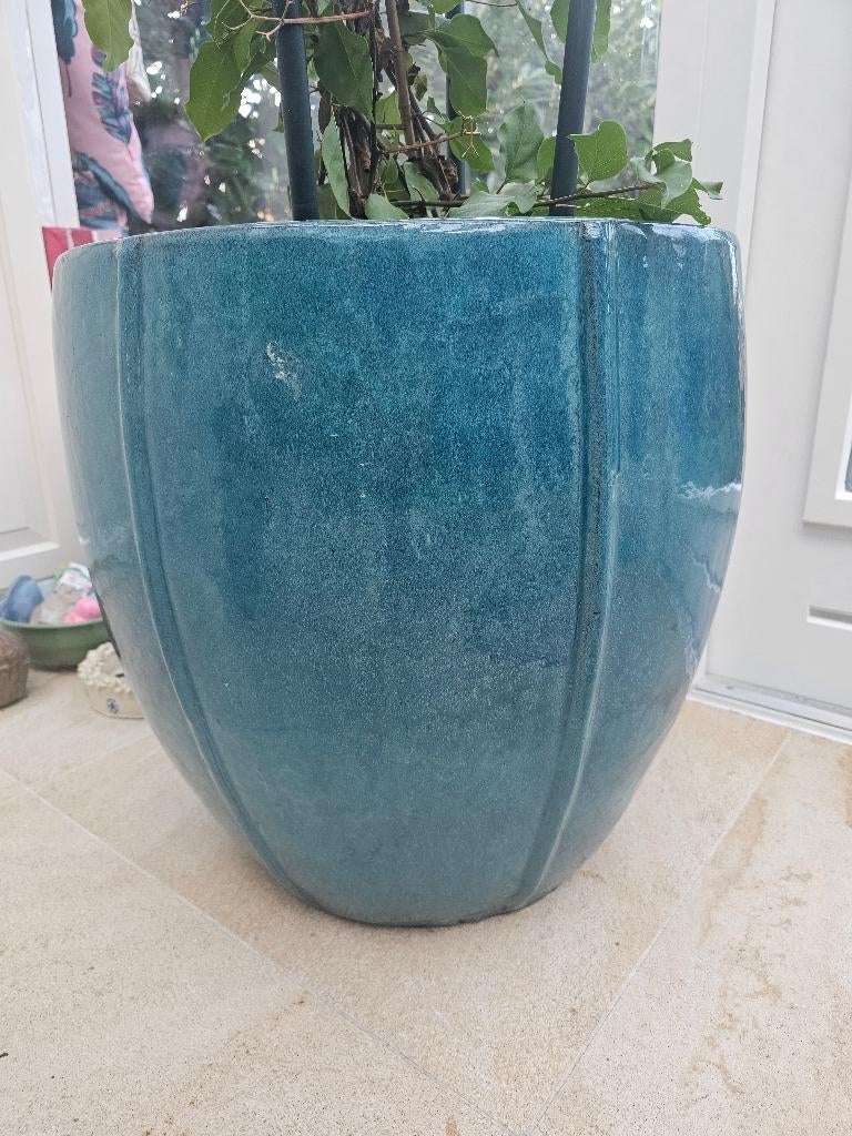 PTMD Design xxxl plantenpot, Ophalen, 40 cm of meer, Rond, Terracotta