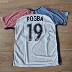 Paul Pogba Frans Nationaal Elftal nr 19 (NIET origineel), Maat M, Ophalen of Verzenden, Gebruikt, Shirt