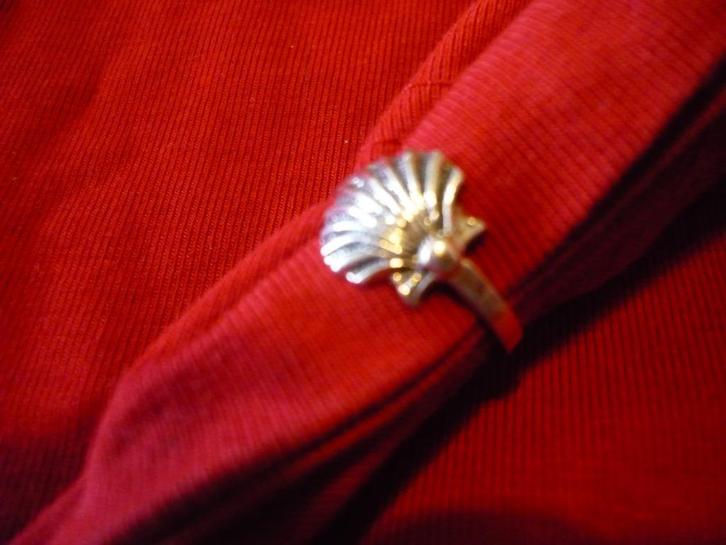 Mooie zilveren ring gemerkt 925, Sieraden, Tassen en Uiterlijk, Ringen, Zo goed als nieuw, Dame, Kleiner dan 17, Zilver, Zilver