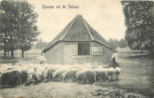 (388-567-001) Veluwe Groeten uit de Veluwe, Verzamelen, Ansichtkaarten | Nederland, Gelderland, Verzenden