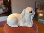 Vintage porseleinen hondenbeeld – Cockerspaniël, Ophalen of Verzenden, Gebruikt, Hond of Kat, Beeldje of Figuurtje